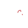 logo-24